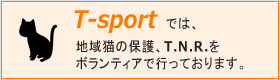 地域猫の保護活動